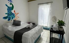 Hotel El Mexicano Tepic Centro